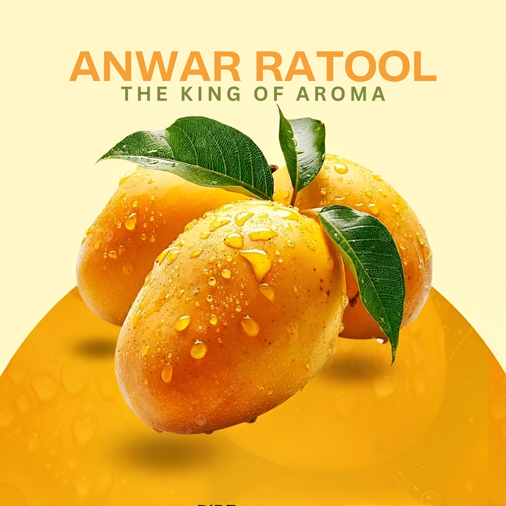 Multani Anwar Ratool Mango