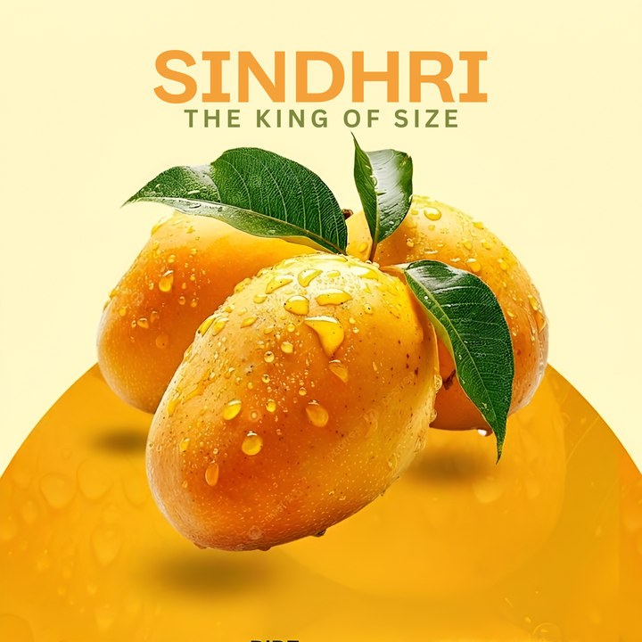 Multani Sindhri Mango