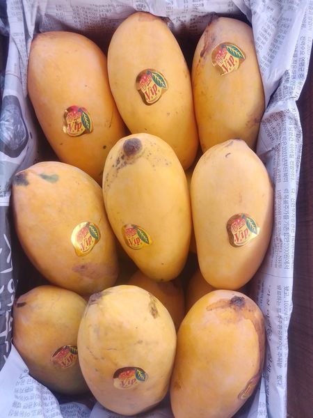 Multani Chaunsa Mango