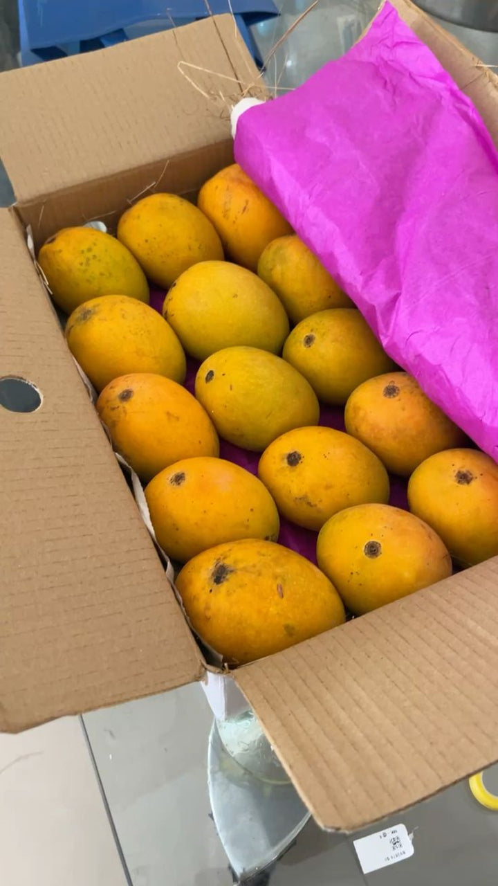 Multani Anwar Ratool Mango