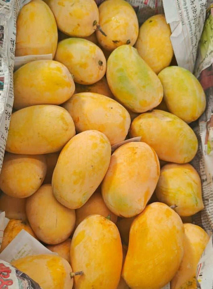 Multani Dussehri Mango
