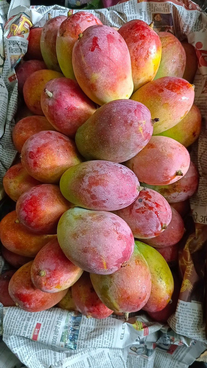 Multani Langra Mango